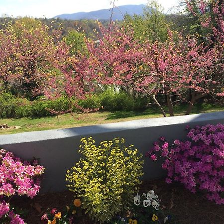 Biltmore Village Inn B&B Asheville Zewnętrze zdjęcie