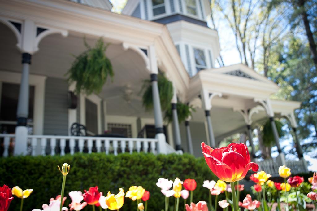Biltmore Village Inn B&B Asheville Zewnętrze zdjęcie