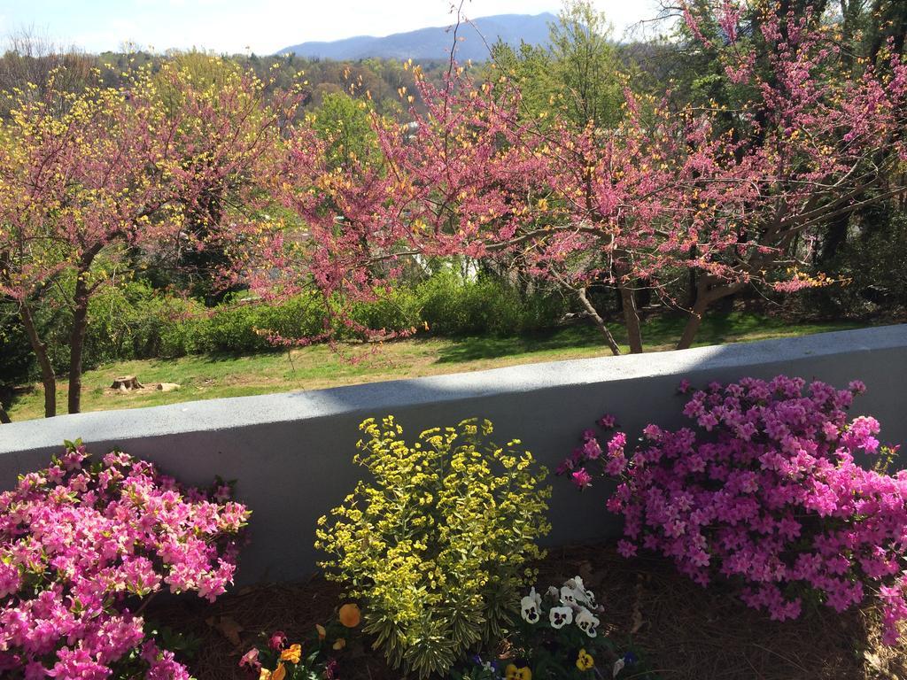 Biltmore Village Inn B&B Asheville Zewnętrze zdjęcie